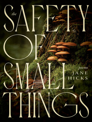 cover image of The Safety of Small Things